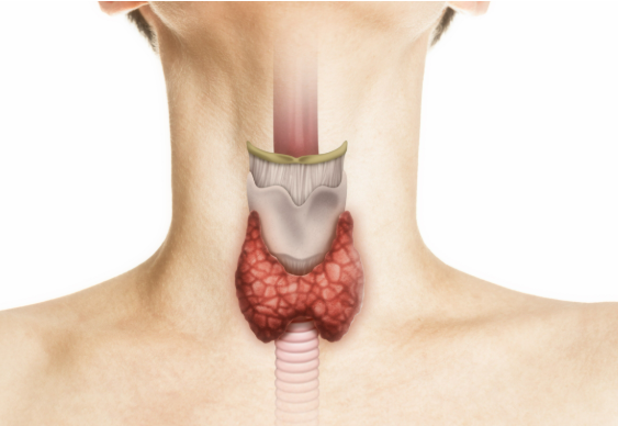 Scarless vs Normal Thyroid Surgery by Dr. Sandeep Nayak